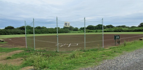 IMG_7978 (2)