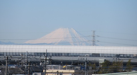 IMG_2854 (2)