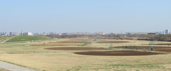 IMG_9958 (2)