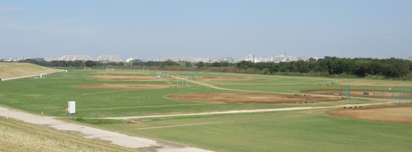 IMG_2243 (2)