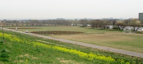 IMG_3942 (2)