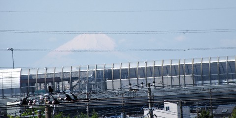 IMG_7987 (2)