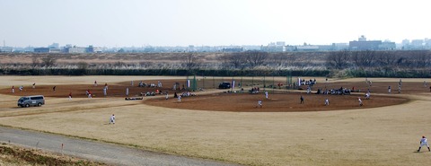 DSC_0250 (2)