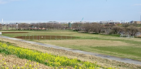 IMG_0229 (2)