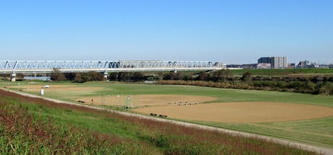 IMG_8529 (2)