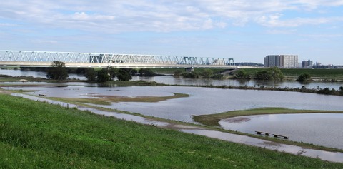 IMG_1385 (2)