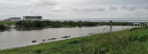 IMG_2960 (2)