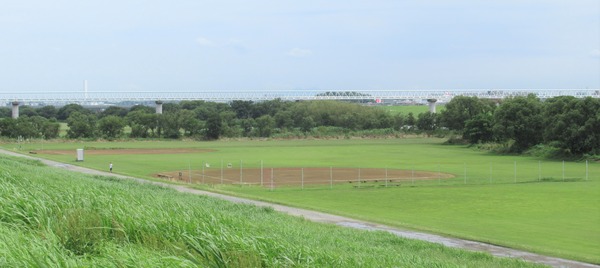 IMG_7801 (2)