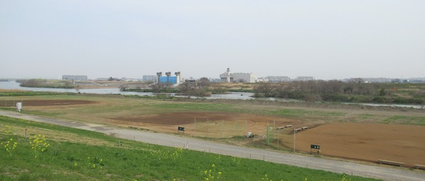 IMG_6486 (2)
