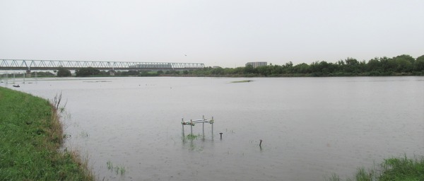 IMG_7839 (2)