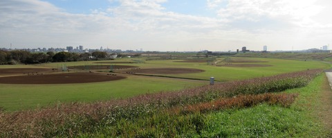IMG_8876 (2)