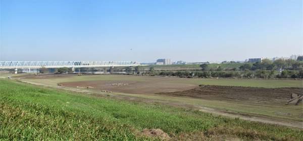 IMG_4597 (2)