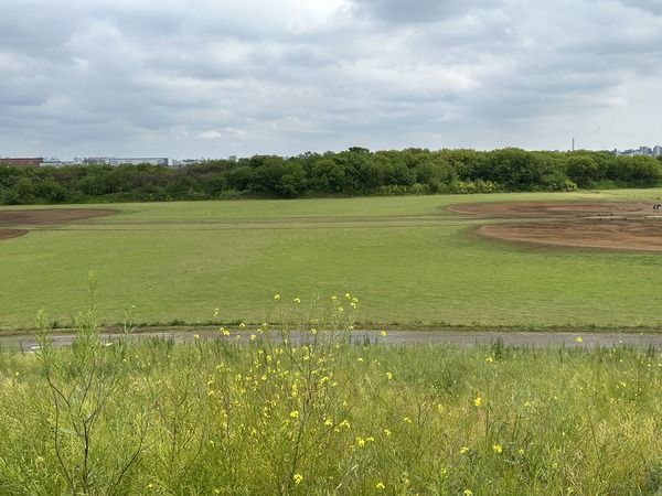 IMG_0180
