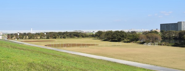 DSC_0031 (2)