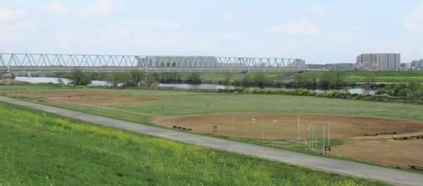IMG_0371 (2)