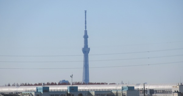 IMG_2725 (2)