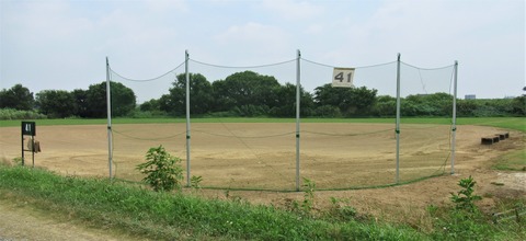 IMG_6866 (2)