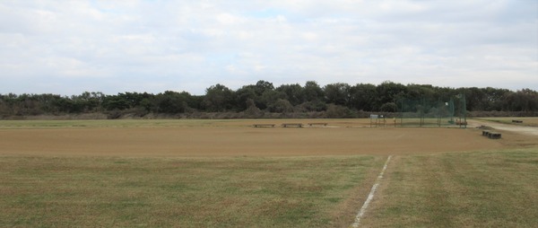 IMG_9238 (2)