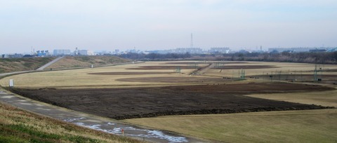 IMG_5668 (2)