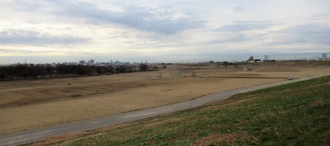 IMG_2514 (2)