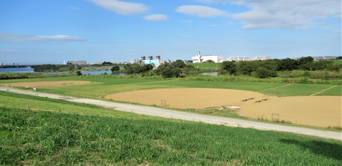 IMG_4188 (2)
