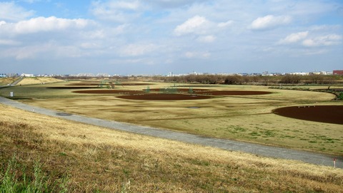 IMG_0082 (2)