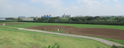 IMG_7465 (3)