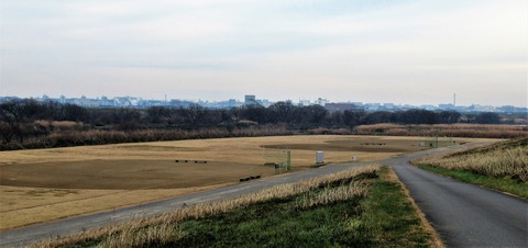 IMG_9105 (3)