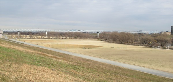 IMG_2901 (2)