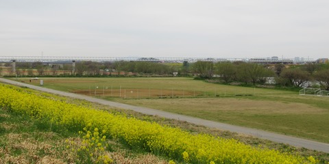 IMG_0543 (2)