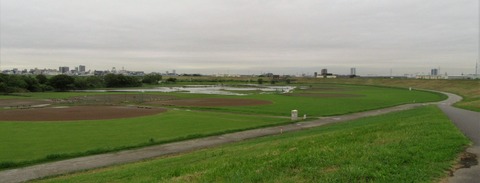 IMG_2543 (2)