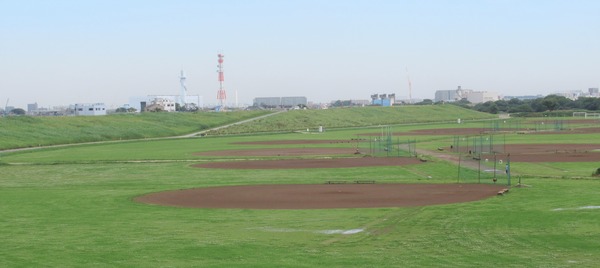 IMG_1151 (2)