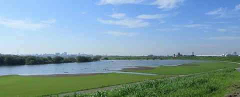 IMG_1665 (2)