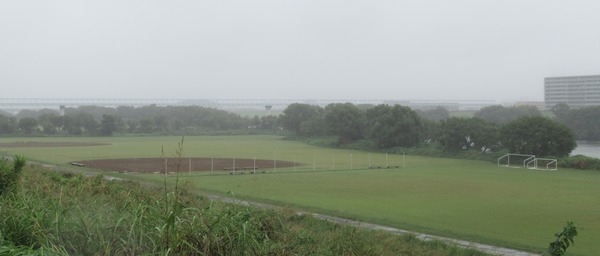 IMG_8801 (2)