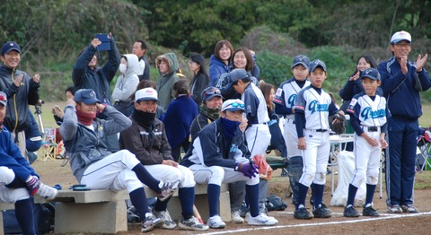 DSC_0264 (2)