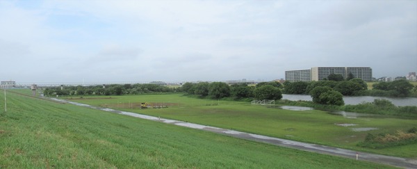 IMG_3706 (2)
