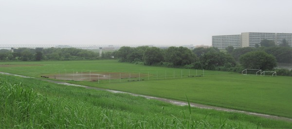 IMG_1455 (2)