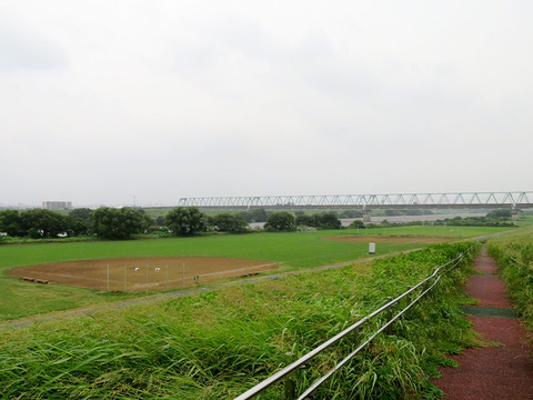31番