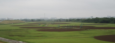 IMG_8402 (2)