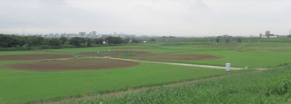 IMG_7983 (2)