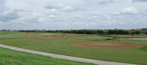 IMG_1529 (2)