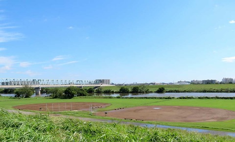 28番