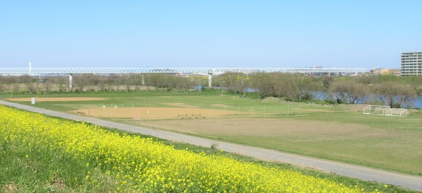 IMG_6612 (2)
