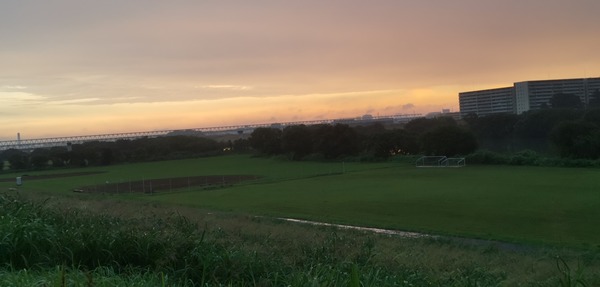 IMG_20200801_050344