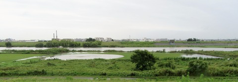 IMG_1426 (2)