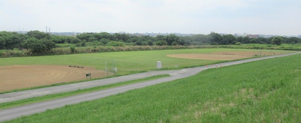 IMG_3724 (2)