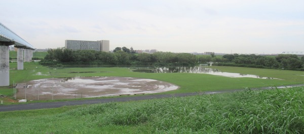 IMG_7866 (2)