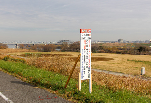 41番