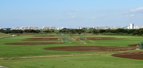 IMG_0962 (2)