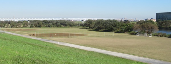 IMG_2513 (2)